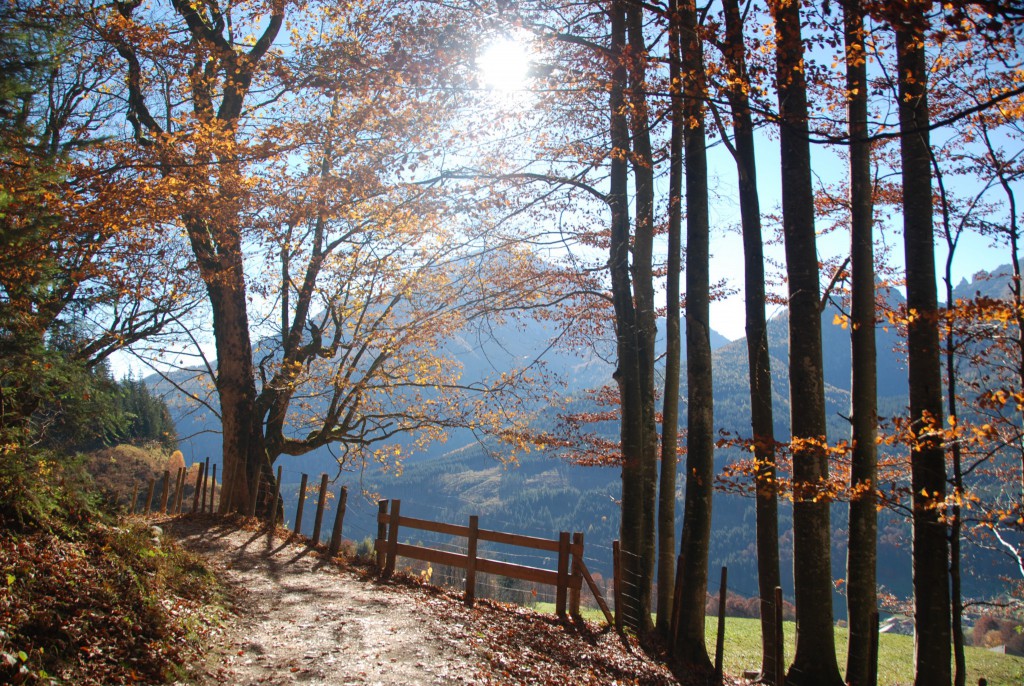 Soleleitungsweg im Herbst