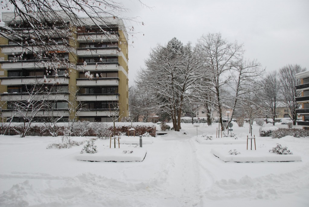 Ferienwohnung Fischerbräuwiese 9 im Winter