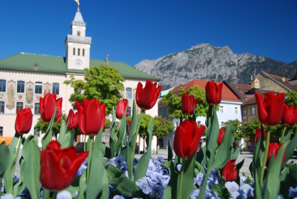 Rathausplatz im Frühjahr