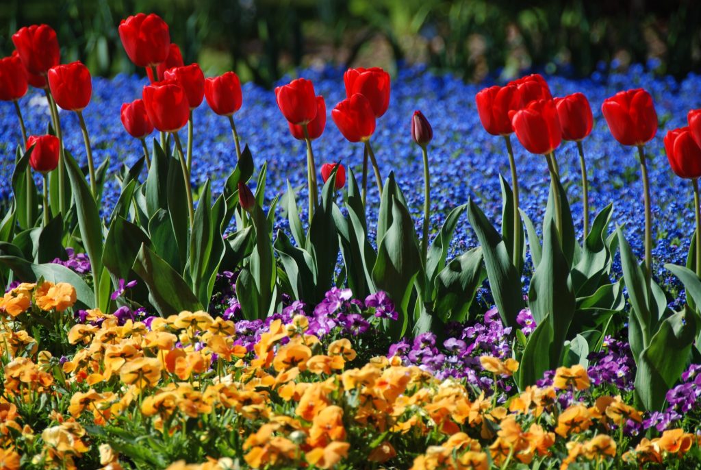 Kurgarten im Frühjahr