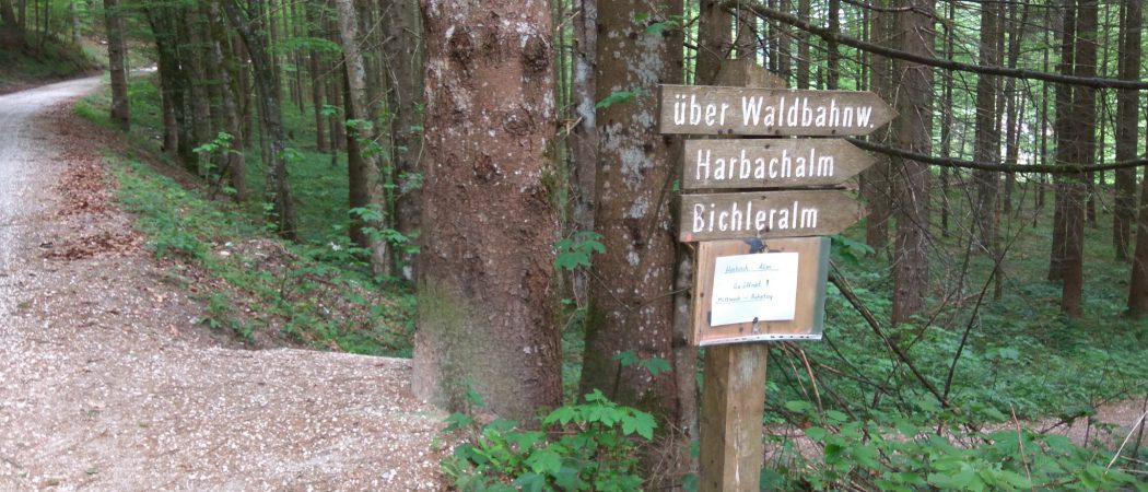 Wanderung über Waldbahnweg