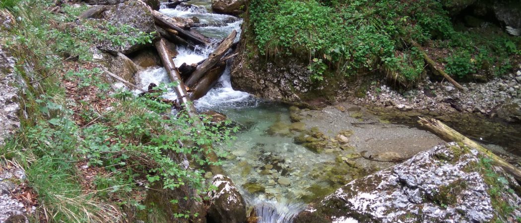 Am Wasser entlang hoch zur Klause