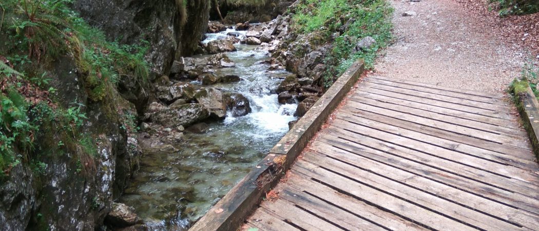 Brücken über den Schwarzenbach